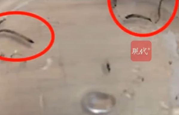1750322788402223.png