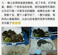 高校學生食堂吃出死老鼠 校方:已辭退廚